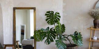 Haja10 거울 - The Revolutionary Smart Mirror for Home