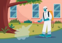 Mosquito Infestation - A Global Health Emergency Requiring Urgent Action