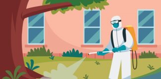Mosquito Infestation - A Global Health Emergency Requiring Urgent Action