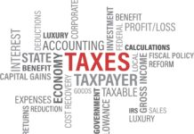 The Role of Tax Management Services in Small Business Growth