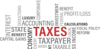 The Role of Tax Management Services in Small Business Growth