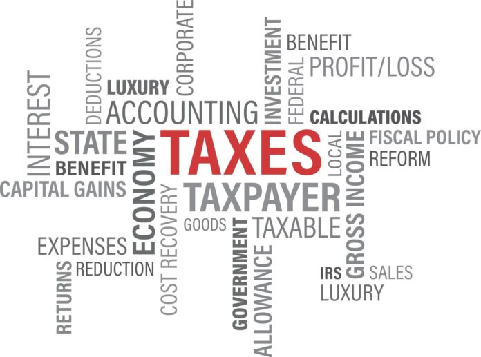 The Role of Tax Management Services in Small Business Growth