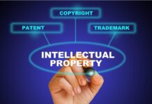 How a Solid Brand Concept Can Elevate Your Business