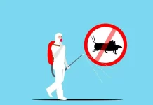 How to Identify a German Cockroach: Signs and Symptoms